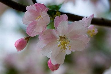 日系视觉小说加钓鱼模拟游戏《户外钓鱼：夏日时光》现已正式推出